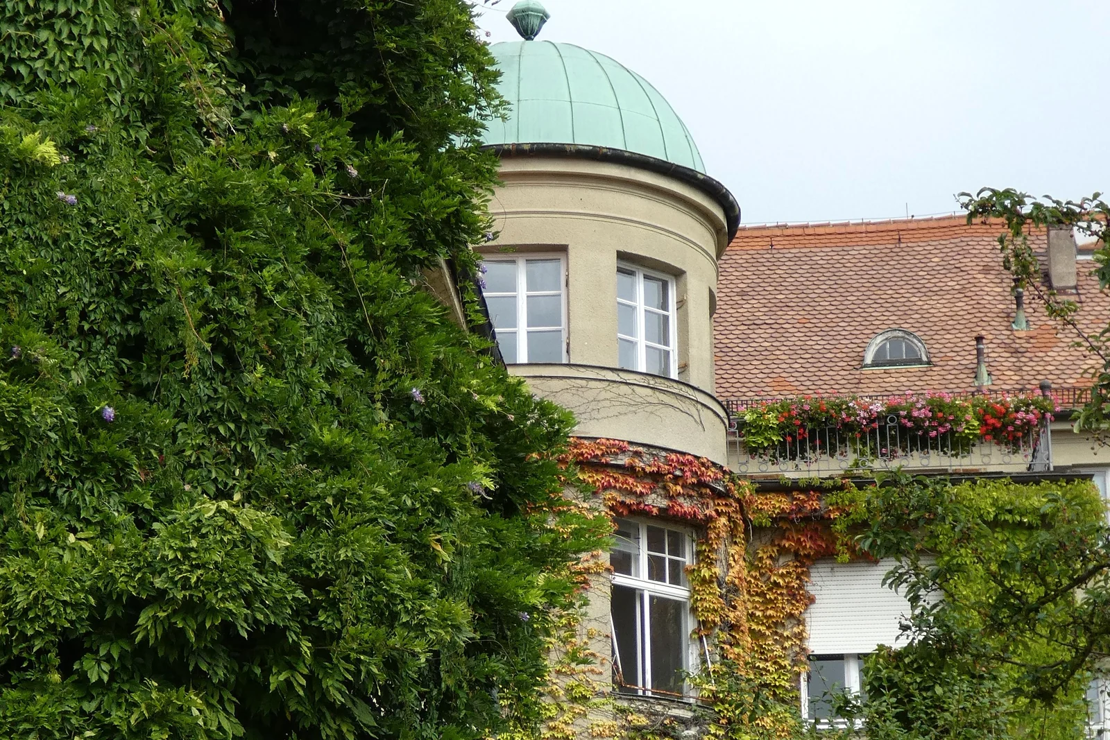 Begrüntes Wohnhaus mit historischer Fassade